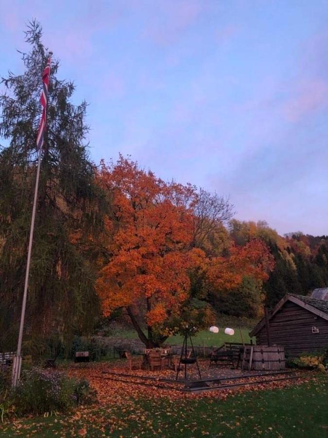 Skjeggestad Gjestehus Ringebu Kültér fotó